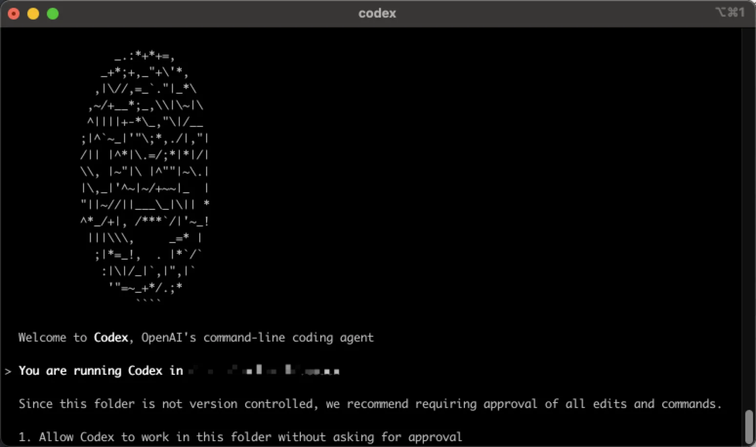 Codex 首次进入项目的欢迎界面